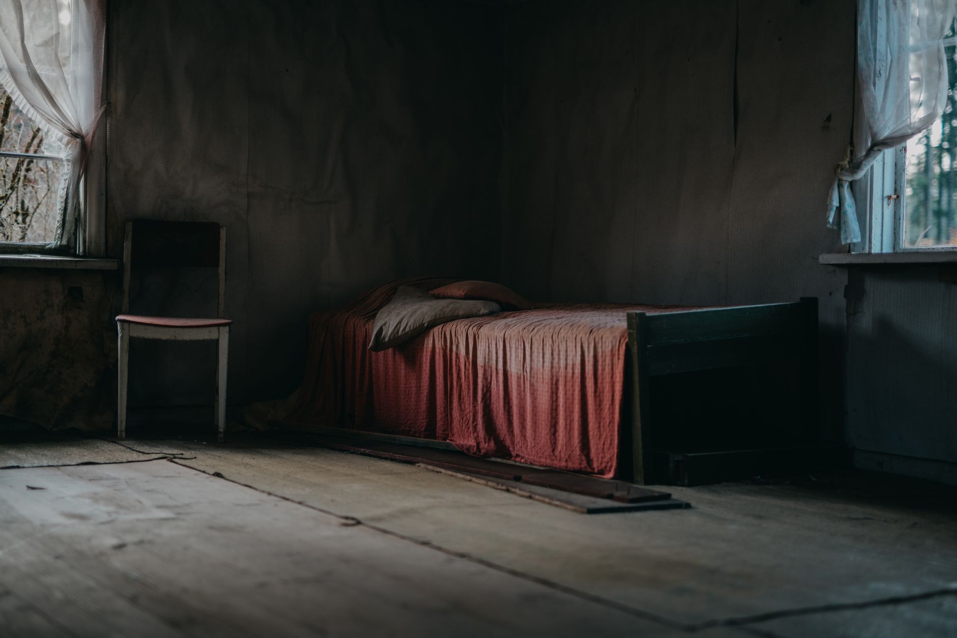 Traitement Punaises de Lit à Torcy